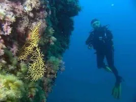 Vistabonita * Σαν Μιγκέλ ντε Αμπόνα